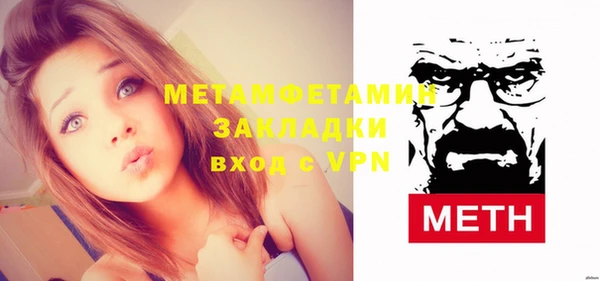 шишки Снежногорск