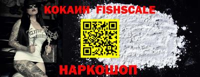 тгк Камышлов