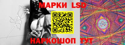 тгк Камышлов