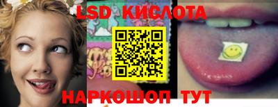 гидра Кандалакша