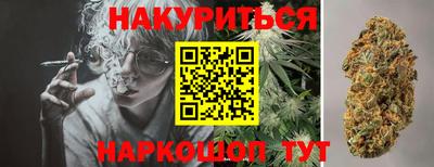 гидропоника Канаш