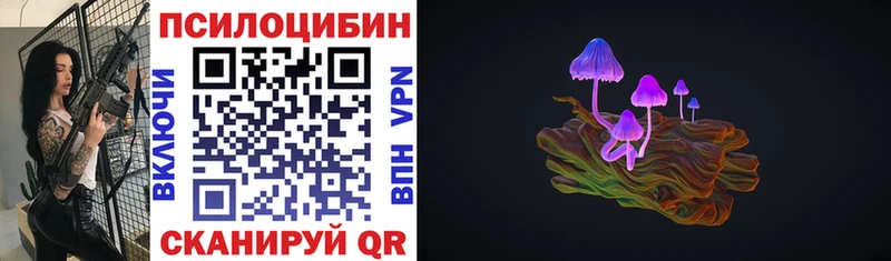 Псилоцибиновые грибы мицелий  мега ссылка  Нефтекумск 