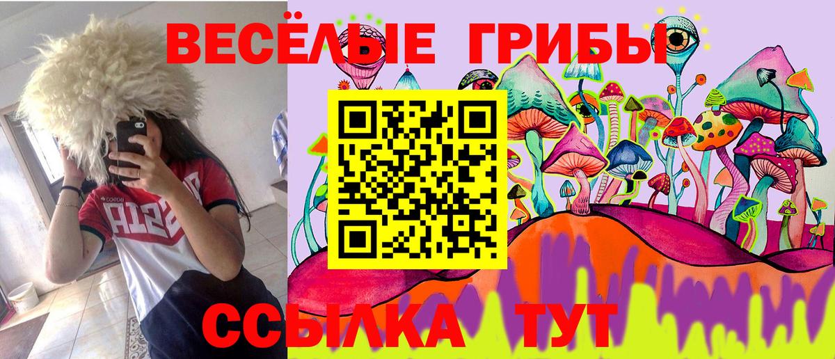 Галлюциногенные грибы мухоморы  Вход с VPN  Нефтекумск 